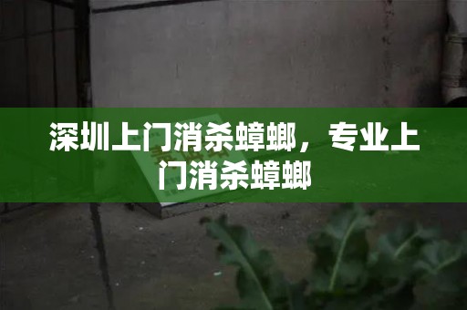 深圳上门消杀蟑螂，专业上门消杀蟑螂