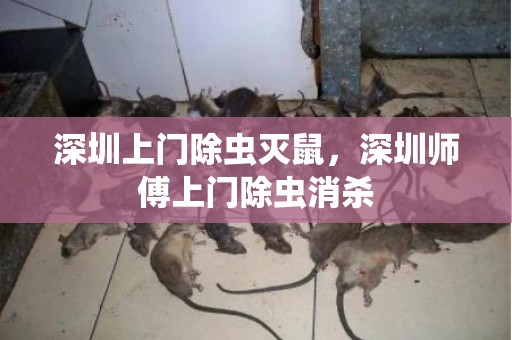 深圳上门除虫灭鼠，深圳师傅上门除虫消杀