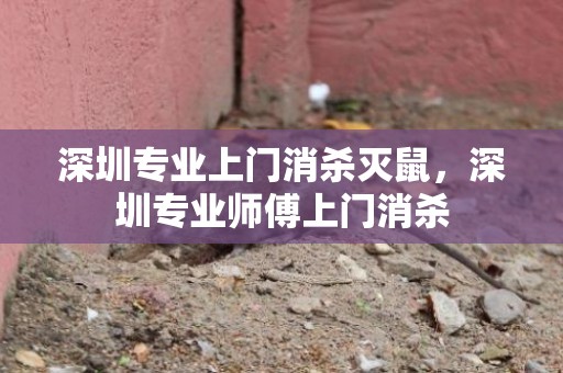 深圳专业上门消杀灭鼠，深圳专业师傅上门消杀