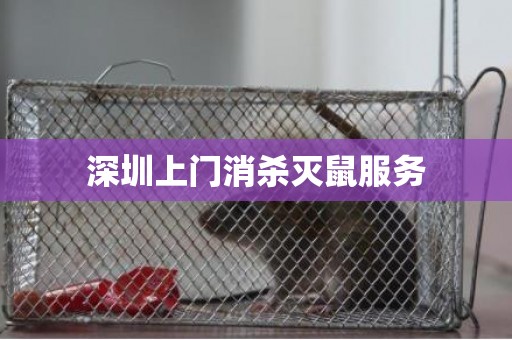 深圳上门消杀灭鼠服务