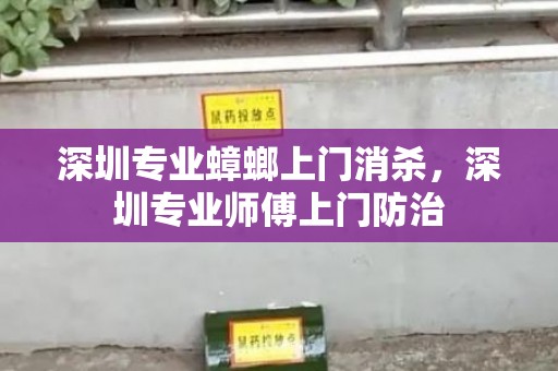 深圳专业蟑螂上门消杀，深圳专业师傅上门防治