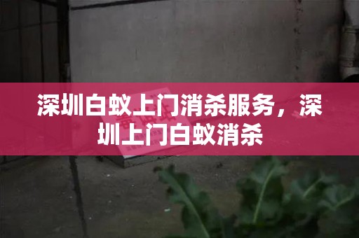 深圳白蚁上门消杀服务，深圳上门白蚁消杀