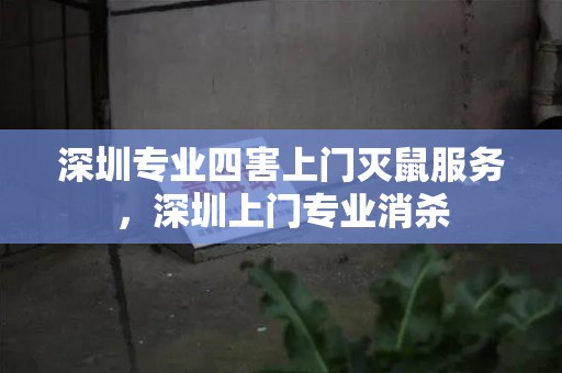 深圳专业四害上门灭鼠服务，深圳上门专业消杀