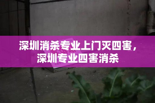 深圳消杀专业上门灭四害，深圳专业四害消杀