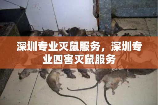 深圳专业灭鼠服务，深圳专业四害灭鼠服务