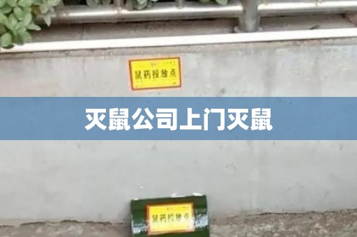 灭鼠公司上门灭鼠