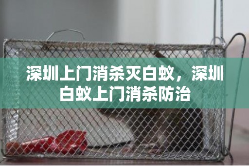 深圳上门消杀灭白蚁，深圳白蚁上门消杀防治