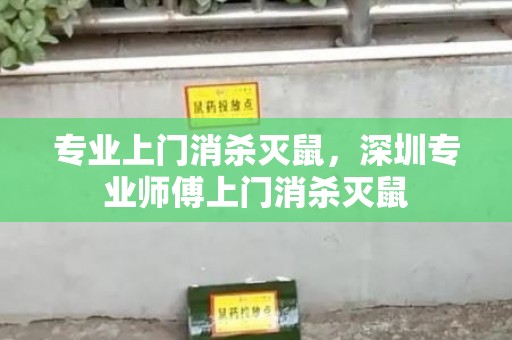 专业上门消杀灭鼠，深圳专业师傅上门消杀灭鼠