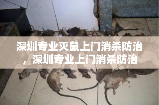 深圳专业灭鼠上门消杀防治，深圳专业上门消杀防治