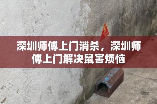 深圳师傅上门消杀，深圳师傅上门解决鼠害烦恼