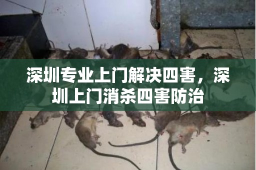 深圳专业上门解决四害，深圳上门消杀四害防治