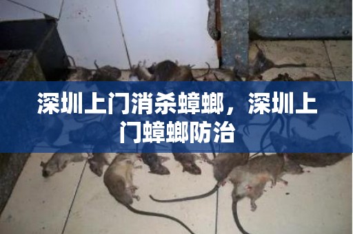 深圳上门消杀蟑螂，深圳上门蟑螂防治