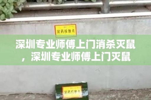 深圳专业师傅上门消杀灭鼠，深圳专业师傅上门灭鼠