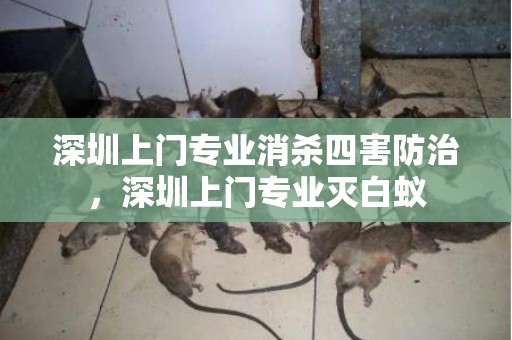 深圳上门专业消杀四害防治，深圳上门专业灭白蚁