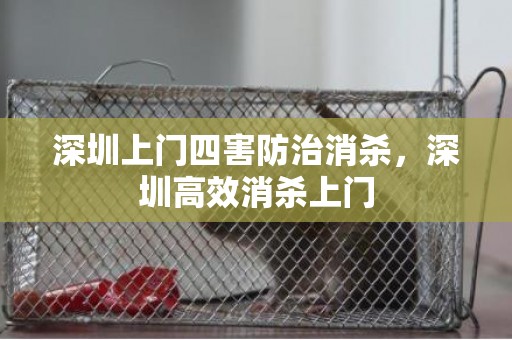 深圳上门四害防治消杀，深圳高效消杀上门
