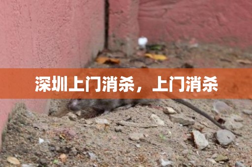 深圳上门消杀，上门消杀