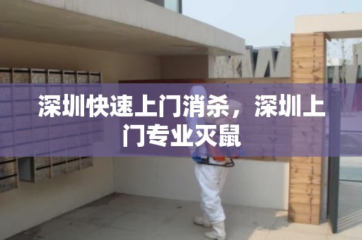 深圳快速上门消杀，深圳上门专业灭鼠