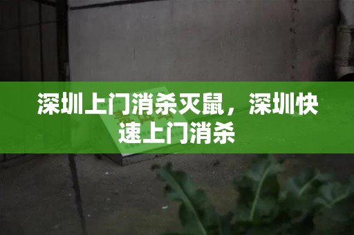 深圳上门消杀灭鼠，深圳快速上门消杀