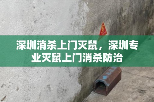 深圳消杀上门灭鼠，深圳专业灭鼠上门消杀防治