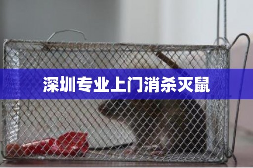 深圳专业上门消杀灭鼠