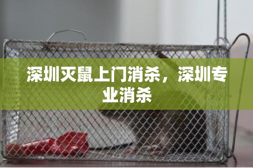 深圳灭鼠上门消杀，深圳专业消杀