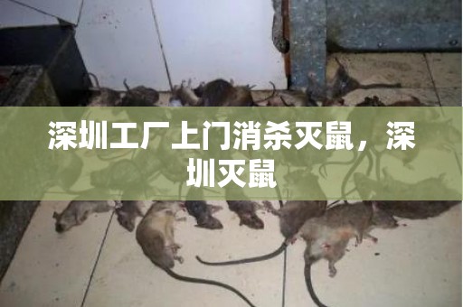 深圳工厂上门消杀灭鼠，深圳灭鼠