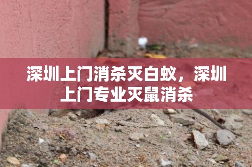 深圳上门消杀灭白蚁，深圳上门专业灭鼠消杀