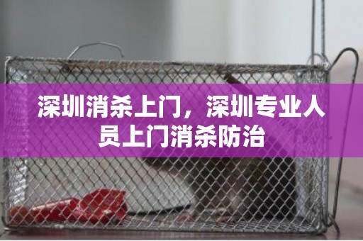 深圳消杀上门，深圳专业人员上门消杀防治