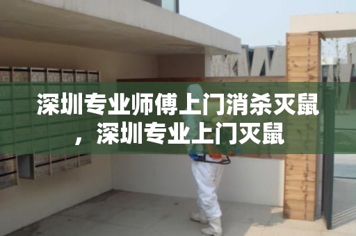 深圳专业师傅上门消杀灭鼠，深圳专业上门灭鼠