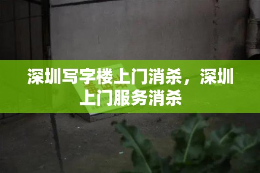 深圳写字楼上门消杀，深圳上门服务消杀