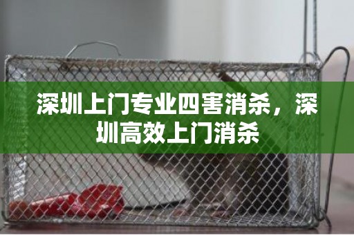 深圳上门专业四害消杀，深圳高效上门消杀