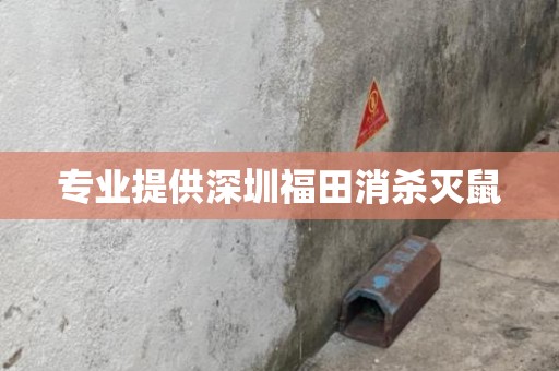 专业提供深圳福田消杀灭鼠