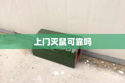 上门灭鼠可靠吗